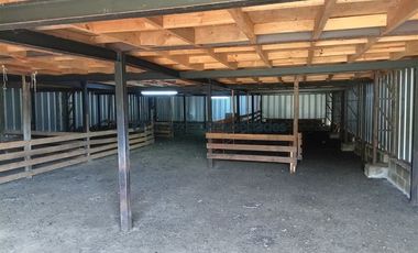 Agrícola en Venta en Venta Hermoso Campo, Los Muermos