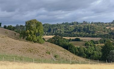 Agrícola en Venta en Venta Hermoso Campo, Los Muermos