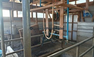 Agrícola en Venta en Venta Hermoso Campo, Los Muermos