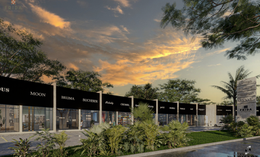 Locales Comerciales ( Plaza Frida -Conkal)