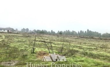 Agrícola en Venta en Comua de perlarco , sector el manzano