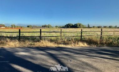 Agrícola en Venta en por ruta CH Talca - San Clemente , entrar por camino antes del reten el Sauce y seguir 3 Kilómetros al sur