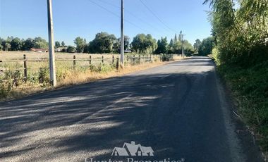 Agrícola en Venta en por ruta CH Talca - San Clemente , entrar por camino antes del reten el Sauce y seguir 3 Kilómetros al sur