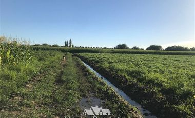 Terreno Construccion en Venta en por ruta CH Talca - San Clemente , entrar por camino antes del reten el Sauce y seguir 3 Kilómetros al sur