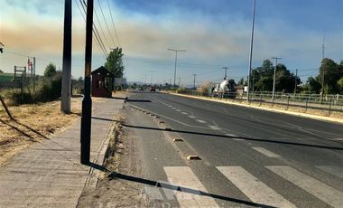 Terreno Construccion en Venta en por ruta CH Talca - San Clemente , entrar por camino antes del reten el Sauce y seguir 3 Kilómetros al sur