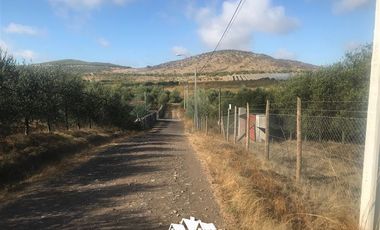 Parcela en Venta en camino pencahue sector Quepo hacia el norte