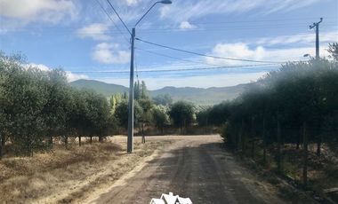 Parcela en Venta en camino pencahue sector Quepo hacia el norte