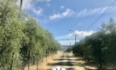 Parcela en Venta en camino pencahue sector Quepo hacia el norte