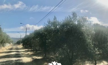 Terreno Construccion en Venta en camino pencahue sector Quepo hacia el norte