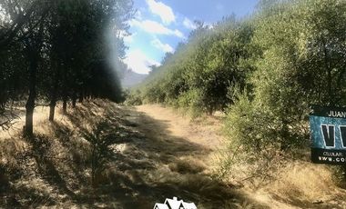 Terreno Construccion en Venta en camino pencahue sector Quepo hacia el norte