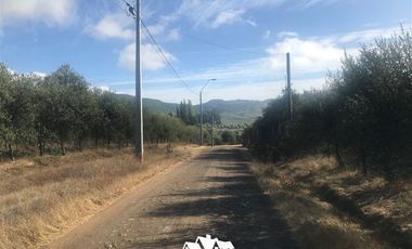 Terreno Construccion en Venta en camino pencahue sector Quepo hacia el norte