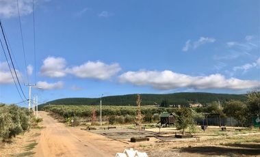 Terreno Construccion en Venta en camino pencahue sector Quepo hacia el norte