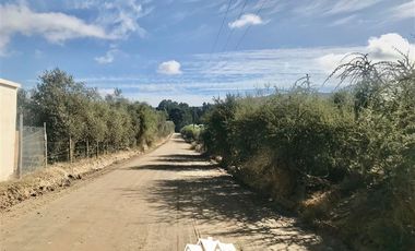 Terreno Construccion en Venta en camino pencahue sector Quepo hacia el norte