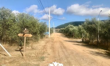 Parcela en Venta en camino pencahue sector Quepo hacia el norte