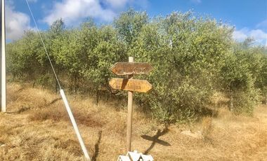 Parcela en Venta en camino pencahue sector Quepo hacia el norte