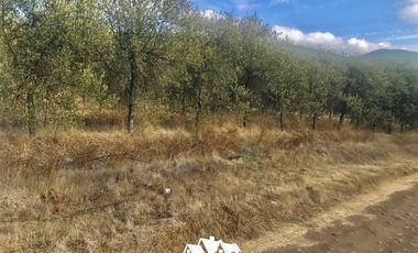 Parcela en Venta en camino pencahue sector Quepo hacia el norte