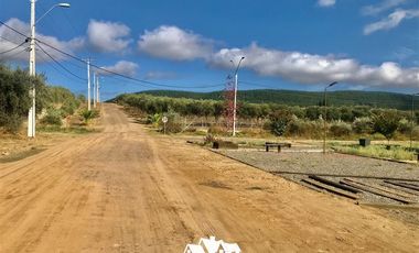 Parcela en Venta en camino pencahue sector Quepo hacia el norte