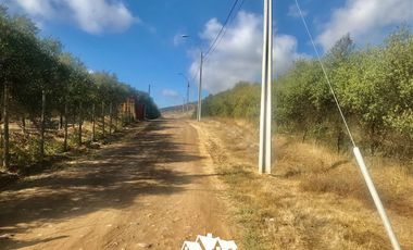 Parcela en Venta en camino pencahue sector Quepo hacia el norte