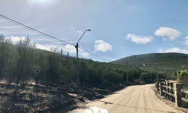 Parcela en Venta en camino a pencahue , sector quepo, camino a hacia el norte