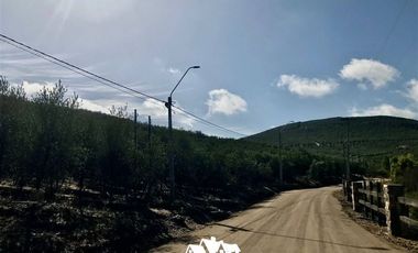 Parcela en Venta en camino a pencahue , sector quepo, camino a hacia el norte