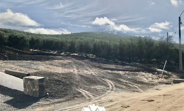 Parcela en Venta en camino a pencahue , sector quepo, camino a hacia el norte