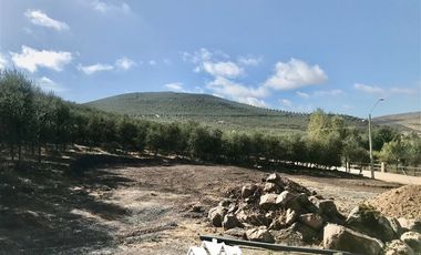 Terreno Construccion en Venta en camino a pencahue , sector quepo, camino a hacia el norte
