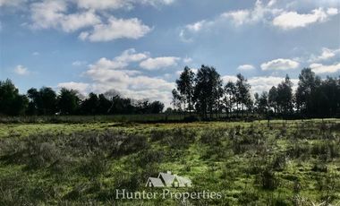 Sitio en Venta en Cercano a Viña Terra Noble, en camino interior, Aurora.