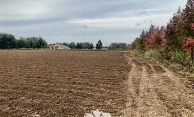 Parcela en Venta en 100 metros al sur de cruce Purisima con las Rastras, 5 minutos al oriente por camino rural de tierra