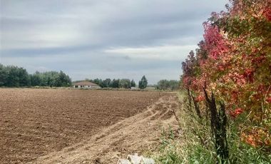 Parcela en Venta en 100 metros al sur de cruce Purisima con las Rastras, 5 minutos al oriente por camino rural de tierra