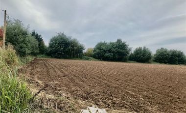 Parcela en Venta en 100 metros al sur de cruce Purisima con las Rastras, 5 minutos al oriente por camino rural de tierra