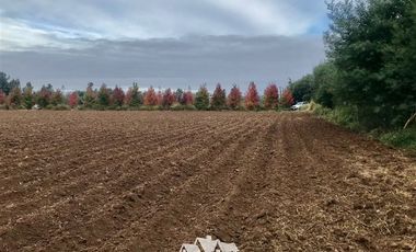 Terreno Construccion en Venta en 100 metros al sur de cruce Purisima con las Rastras, 5 minutos al oriente por camino rural de tierra