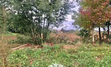 Terreno Construccion en Venta en 100 metros al sur de cruce Purisima con las Rastras, 5 minutos al oriente por camino rural de tierra