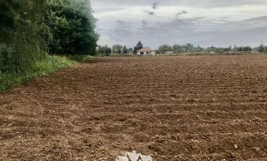 Terreno Construccion en Venta en 100 metros al sur de cruce Purisima con las Rastras, 5 minutos al oriente por camino rural de tierra