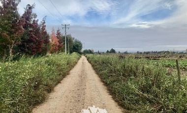 Terreno Construccion en Venta en 100 metros al sur de cruce Purisima con las Rastras, 5 minutos al oriente por camino rural de tierra