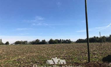 Sitio en Venta en a 4 minutos de cruce autopista San Clemente con camino a mariposas hacia el norte