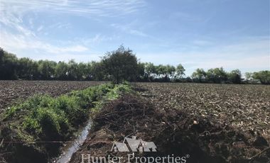 Sitio en Venta en a 4 minutos de cruce autopista San Clemente con camino a mariposas hacia el norte