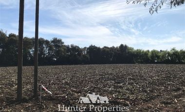 Sitio en Venta en a 4 minutos de cruce autopista San Clemente con camino a mariposas hacia el norte