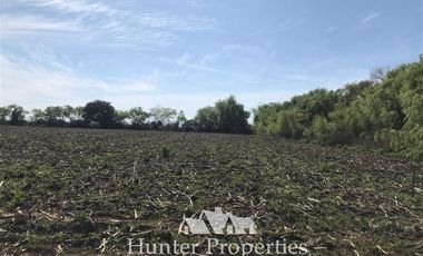 Terreno Construccion en Venta en a 4 minutos de cruce autopista San Clemente con camino a mariposas hacia el norte