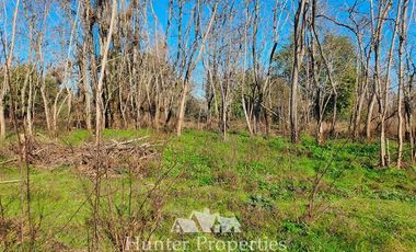Sitio en Venta en 8 km de la ruta 5 sur a la cordillera y a 18 Km del centro de parral