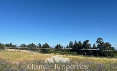 Sitio en Venta en Camino a Pelarco a 2,7 KM de la Ruta 5 Sur en lado Sur de la carretera