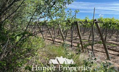 Terreno Construccion en Venta en a dos Km de la ruta por camino a retiro hacia el poniente , sector la granja