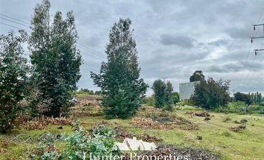 Sitio en Venta en Ruta 5 Sur lado poniente altura Km 229