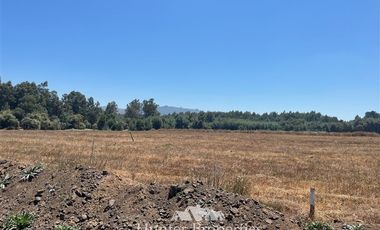 Terreno Construccion en Venta en Por ruta 115, camino al frente copec y seguir camino a cabañas lago colbun, por 3,5 KM
