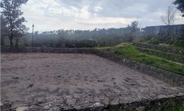 VENTA DE HIPICO EN CUERNAVACA