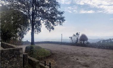 VENTA DE HIPICO EN CUERNAVACA