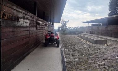 VENTA DE HIPICO EN CUERNAVACA