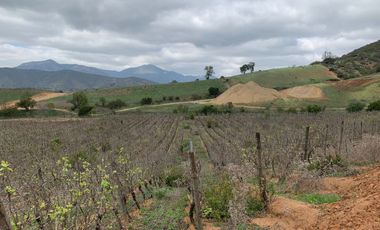 Casa Patronal en Parcelación Atalaya, Casablanca
