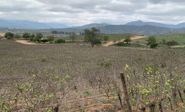 Casa Patronal en Parcelación Atalaya, Casablanca