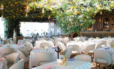 Local en Renta en Bosques de las Lomas Plaza Ikon (m2lc1026)