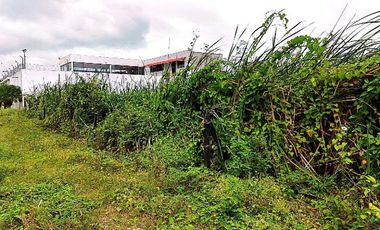 TERRENO EN VENTA EN SECTOR CASTELNUOVO, PARROQUIA ATACAMES ESMERALDAS